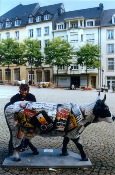 Luxembourg Cows