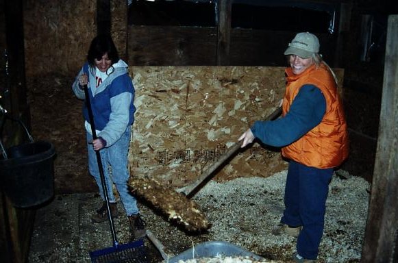 Anita & Chelsea shovelling something