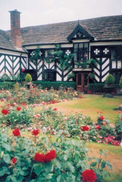 Tudor Garden