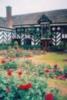 Tudor Garden